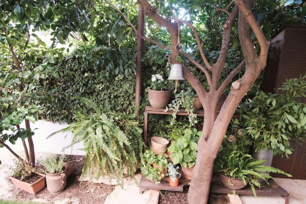 Вилла La Casa Del Jardin Канделеда Экстерьер фото